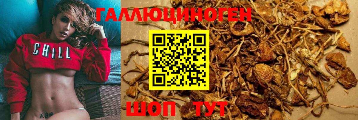 Галлюциногенные грибы Psilocybe  Вход с VPN  Котовск  Галлюциногенные грибы MAGIC MUSHROOMS 